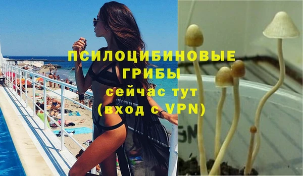 СК Балахна